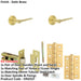 Door Handle Latch Satin Brass Slim Tapered Lever Round Plain Rose-1