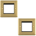 2 PACK Double Gang EURO Module Modular Wall Face Plate Frame POLISHED BRASS & BLACK 25x50mm
