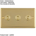 3 Gang Triple Retro Toggle Light Switch POLISHED BRASS 10A 2 Way Lever Plate