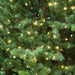 6ft 180cm Pre-Lit Artifical Christmas Tree - Warm White LED Realistic Xmas Tree - LoopsDirect