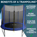 2440mm Kids 8ft Trampoline & Safety Enclosure Net - 50KG Max Outdoor Garden Jump - LoopsDirect