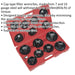 15 Piece Oil Filter Cap Wrench Set - 3/8" & 1/2" Sq Drive - Rust Protection Loops