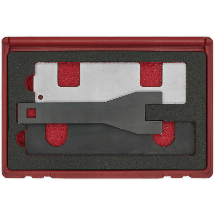 Petrol Engine Timing Tool Kit - CHAIN DRIVE - For GM & Vauxhall 1.0 1.4 Camshaft Loops