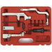 Petrol Engine Timing Tool Kit - CHAIN DRIVE - For Citroen Peugeot & Mini 1.4 1.6 Loops