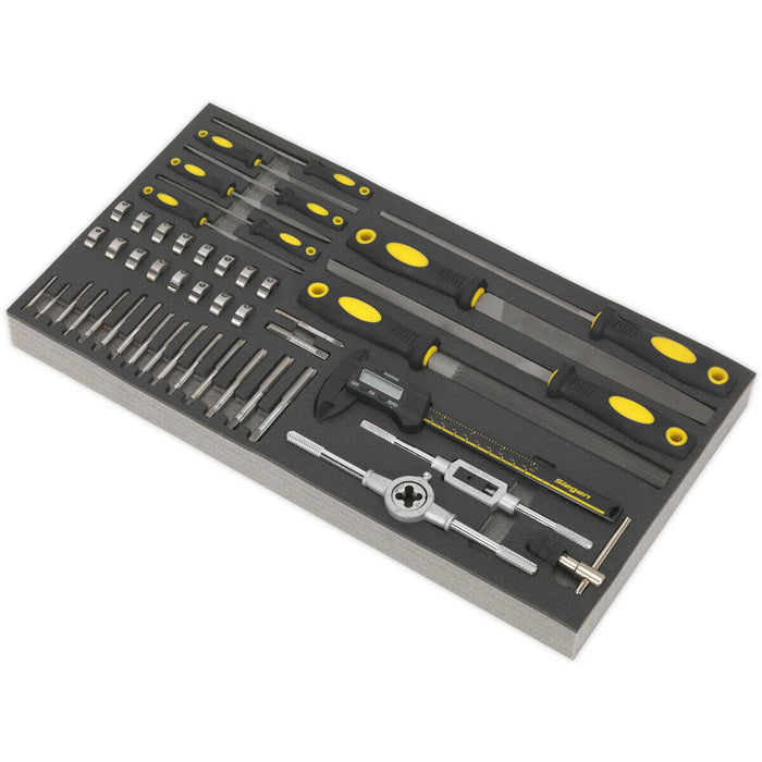 48pc Tap & Die Set with 510 x 270mm Tool Tray - Files & Digital Calipers Tool Loops