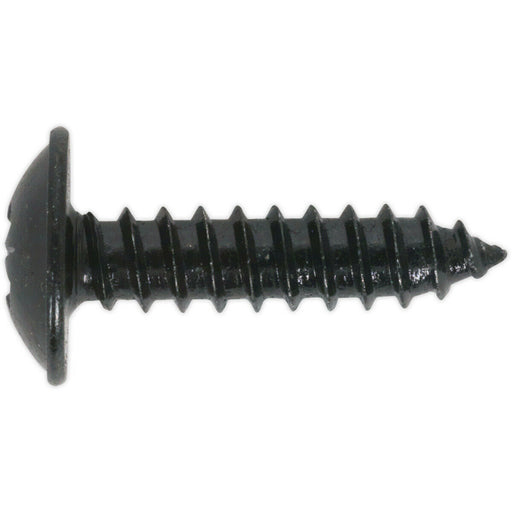 100 PACK 4.8 x 13mm Self Tapping Black Screw - Flanged Pozi Head - Fixings Screw Loops