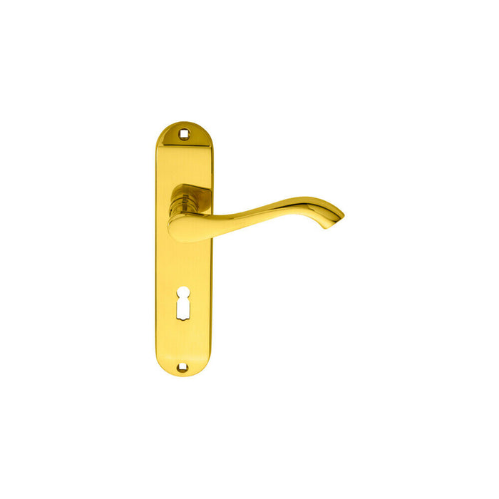 PAIR Curved Handle on Chamfered Lock Backplate 180 x 40mm Polished Brass Loops