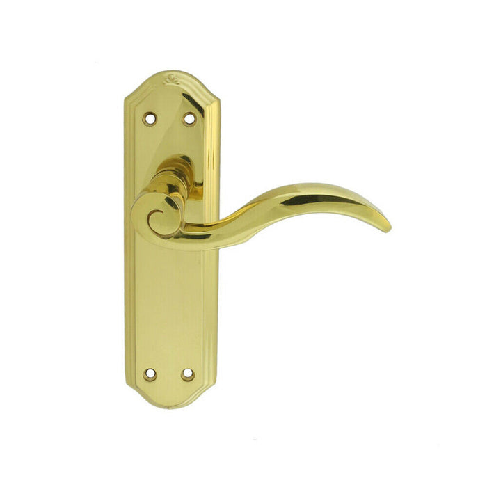 PAIR Spiral Sculpted Handle on Latch Backplate 180 x 48mm Polished Brass Loops