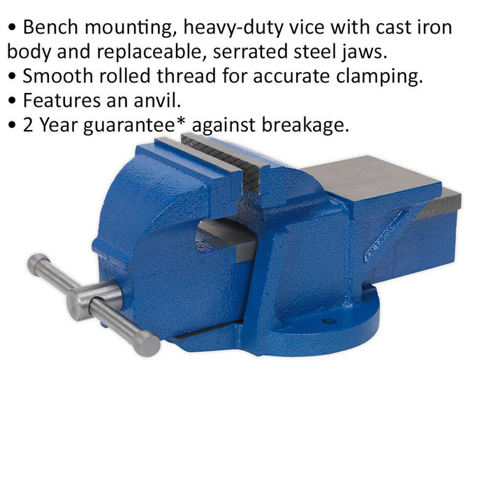 Heavy Duty Bench Mountable Fixed Base Vice - 100mm Jaw Opening - Cast Iron Loops