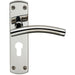 Curved Lever on Euro Lock Backplate Handle 172 x 44mm Polished & Satin Steel Loops