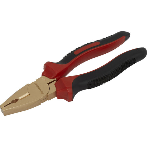 200mm Non-Sparking Combination Pliers - Gripping & Cutting Pliers - Die Forged Loops