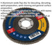125mm Aluminium Oxide Flap Disc - 22mm Bore - Depressed Centre Disc - 80 Grit Loops