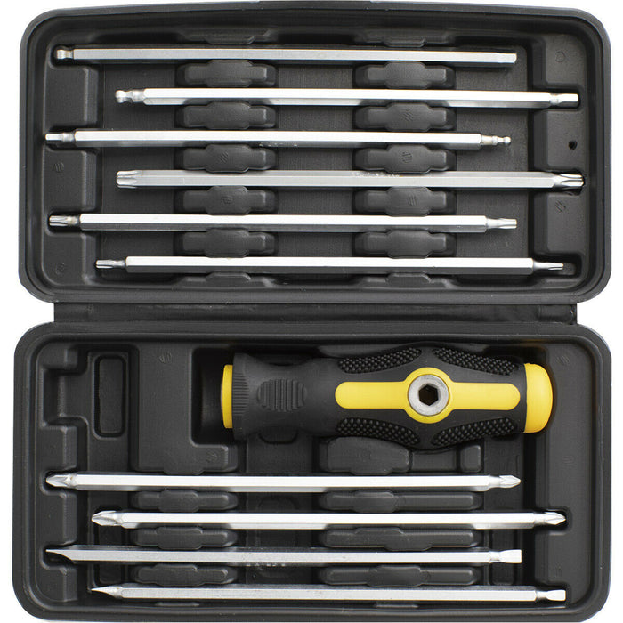 20-in-1 T Bar Screwdriver Set - Slotted Phillips TRX Hex Ball - Long Bits & Case Loops