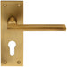 PAIR Straight Bar Lever on Slim Euro Lock Backplate 150 x 50mm Antique Brass Loops