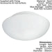 2 PACK Wall Flush Ceiling Light Colour White Shade White Glass Opal Matt 2x E27 Loops