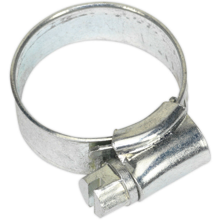 30 PACK Zinc Plated Hose Clip - 16 to 25mm Diameter - External Pressed Threads Loops