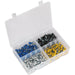 200 PACK Number Plate Screw Assortment - 4.8 x 18mm - Various Colour Car Reg Set Loops