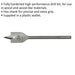 24 x 152mm Fully Hardened Wood Drill Bit - Hex Shank - High Performance Woodwork Loops