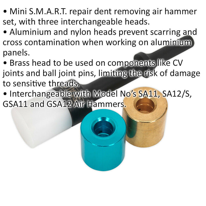 Air Hammer Dent Removal Kit - 3 Interchangeable Heads - Aluminium Nylon & Brass Loops