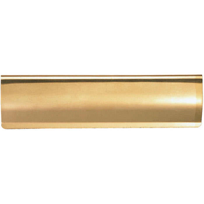 Interior Letterbox Plate Tidy Cover Flap 280 x 62mm Polished Brass Loops