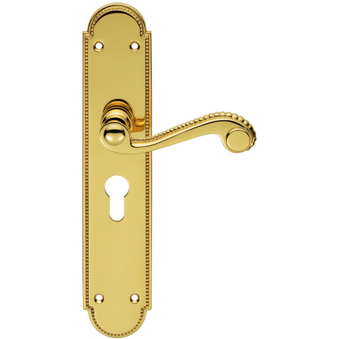 PAIR Beaded Pattern Handle on Euro Lock Backplate 249 x 50mm Polished Brass Loops