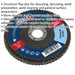 100mm Zirconium Flap Disc - 16mm Bore - Depressed Centre Disc - 80 Grit Loops