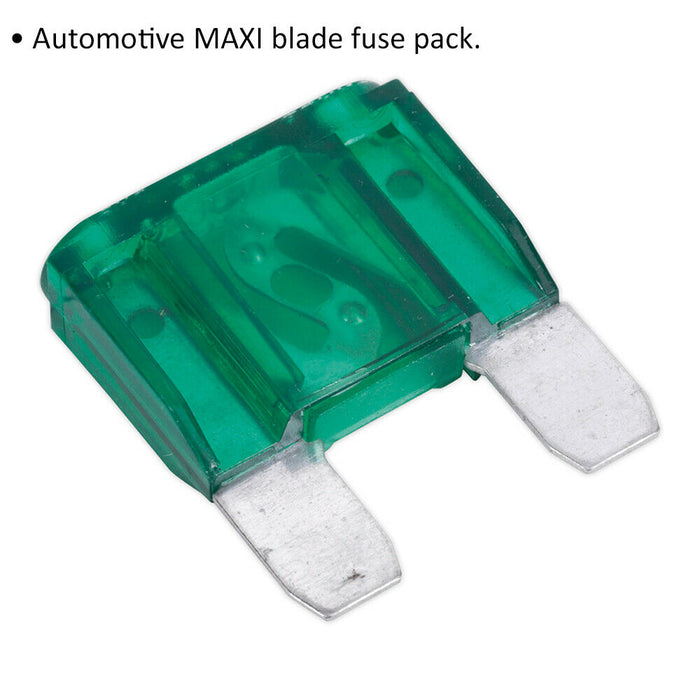 10 PACK 30A Automotive MAXI Blade Fuse Pack - 2 Prong Vehicle Circuit Fuses Loops