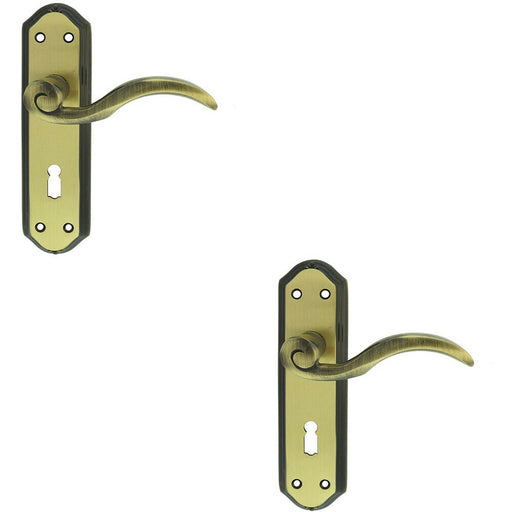 2x PAIR Spiral Sculpted Handle on Lock Backplate 180 x 48mm Florentine Bronze Loops