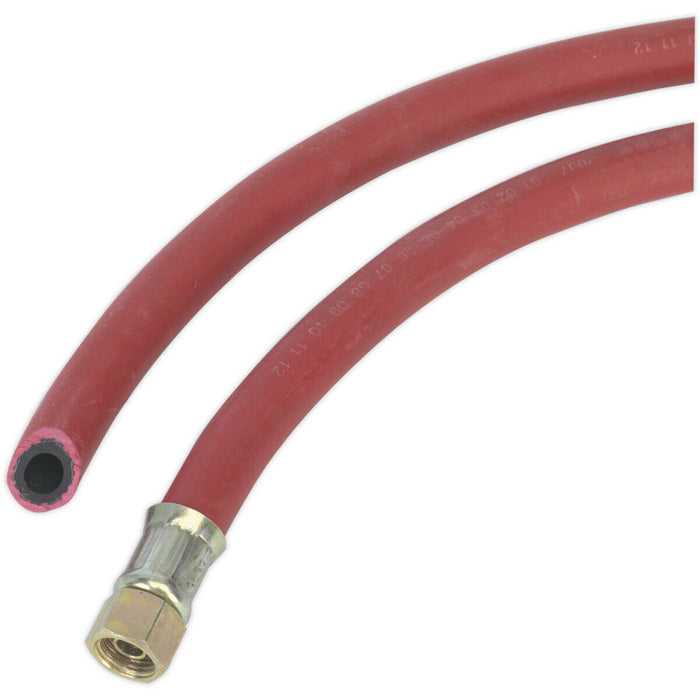 Rubber Alloy Air Hose with 1/4 Inch BSP Unions - 5 Metre Length - 10mm Bore Loops