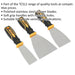3 PACK Premium General Use Hand Scraper Set - Stainless Steel DIY Scraping Tool Loops