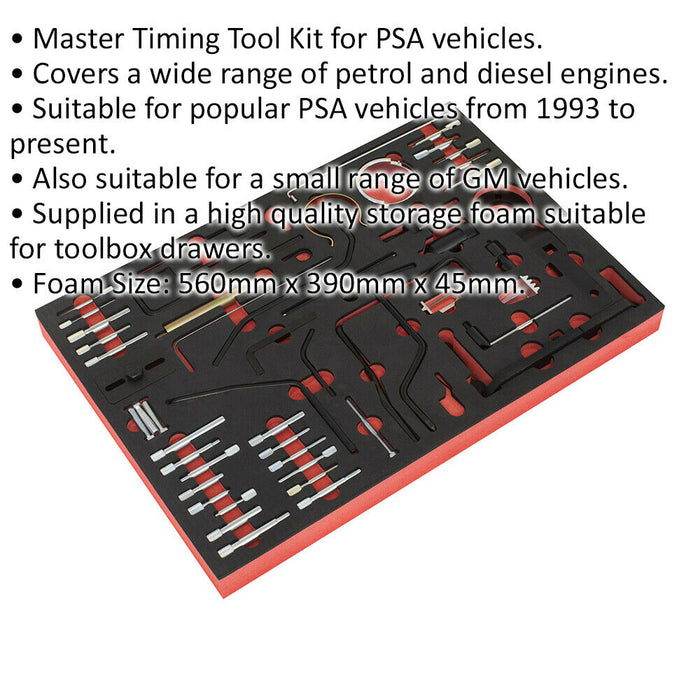48 PACK Diesel & Petrol Master Timing Tool Kit - PSA ENGINES - BELT CHAIN DRIVE Loops