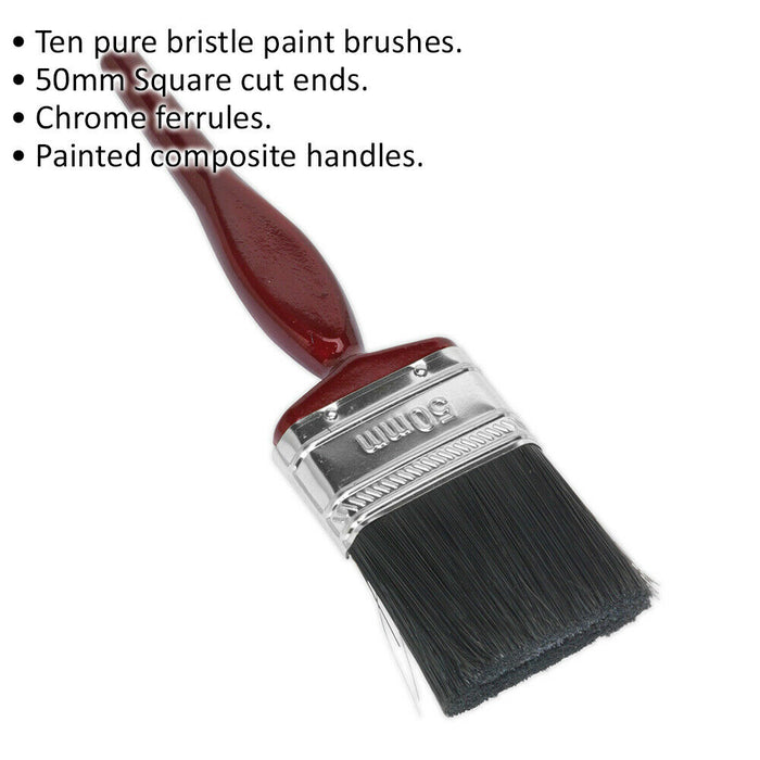 10 PACK 50mm Pure Bristle Paint Brush - Square Cut Ends - Painting Decorating Loops