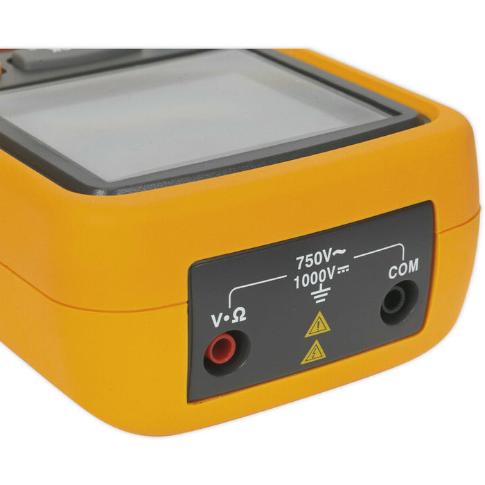 Digital High Voltage Insulation Tester - Suitable for Hybrid & Electric Vehicles Loops