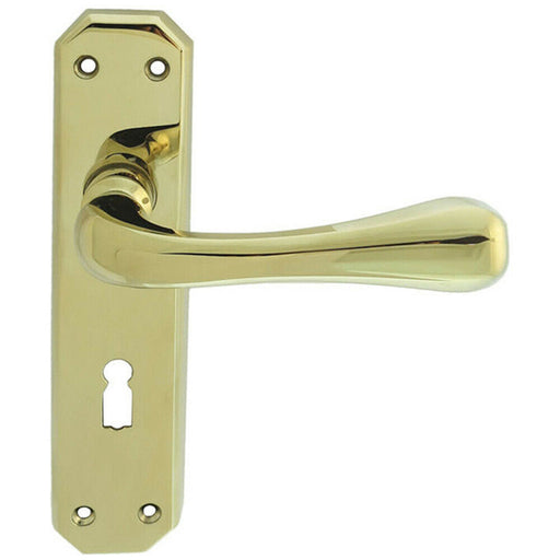 PAIR Heavy Duty Handle on Angular Lock Backplate 180 x 40mm Stainless Brass Loops