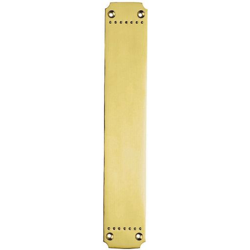 Ornate Door Figner Plate with Dot Pattern 370 x 64mm Polished Brass Push Plate Loops