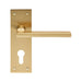 4x PAIR Straight Bar Handle on Slim Euro Lock Backplate 150 x 50mm Satin Brass Loops