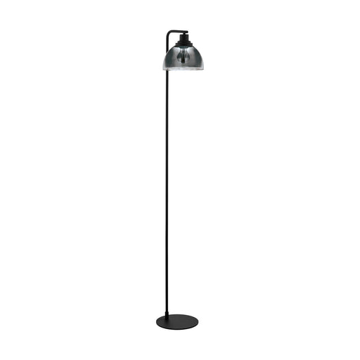 Floor Lamp Light Black Shade Black Transparent Glass Vaporized Bulb E27 1x60W Loops