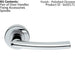 PAIR Oval Shaped Curved Bar Handle Concealed Fix Round Rose Polished Chrome Loops