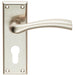 Chunky Curved Tapered Handle on Euro Lock Backplate 150 x 50mm Satin Nickel Loops