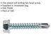 100 PACK 4.2 x 25mm Self Drilling Hex Head Screw - Zinc Plated Fixings Screw Loops