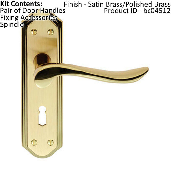 PAIR Curved Lever on Sculpted Edge Backplate 180 x 48mm Satin/Polished Brass Loops
