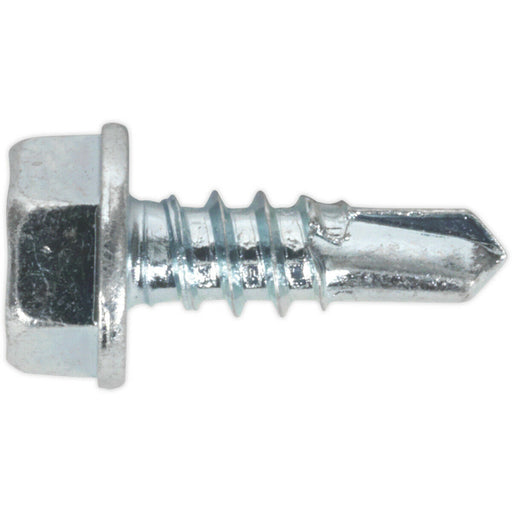 100 PACK 4.2 x 13mm Self Drilling Hex Head Screw - Zinc Plated Fixings Screw Loops