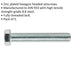 5 PACK HT Setscrew - M16 x 100mm - Grade 8.8 Zinc - Fully Threaded - DIN 933 Loops