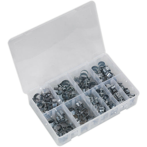 100 Piece Mini Hose Clip Assortment - Zinc Plated Clips - Partitioned Box Loops
