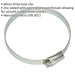 30 PACK Zinc Plated Hose Clip - 80 to 100mm Diameter - External Pressed Threads Loops