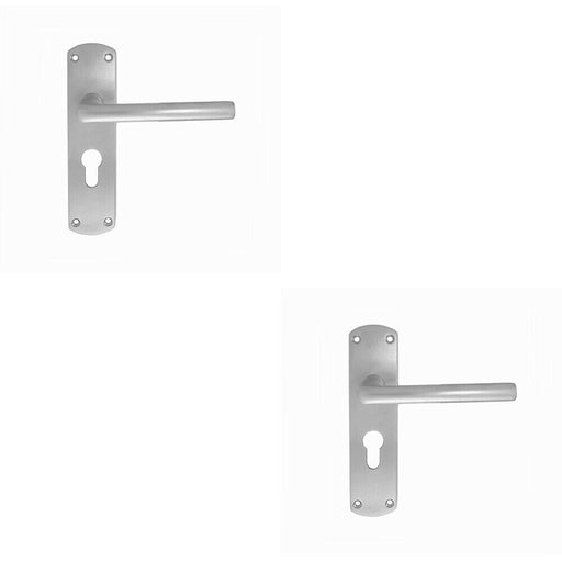 2x Rounded Straight Bar Handle on Euro Lock Backplate 170 x 42mm Satin Chrome Loops