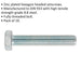 10 PACK HT Setscrew - M14 x 80mm - Grade 8.8 Zinc - Fully Threaded - DIN 933 Loops