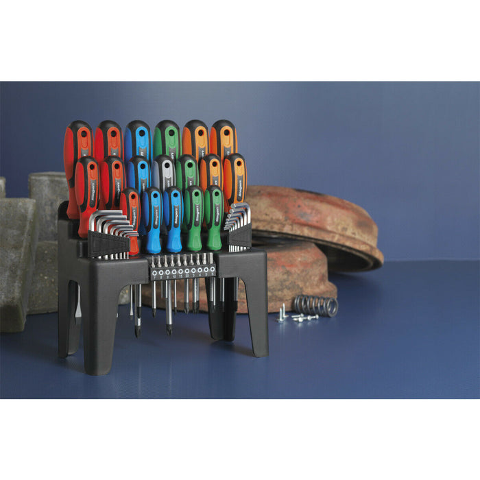 44 PACK - Large Screwdriver Hex Key & Bit Set - Colour Coded & Storage Stand Loops