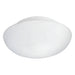 Wall Flush Ceiling Light Colour White Shade White Glass Opal Matt Bulb E27 2x60W Loops
