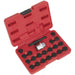 22pc Locking Wheel Nut Key Set - DEALERS & REPAIR CENTRES ONLY - For BMW Loops